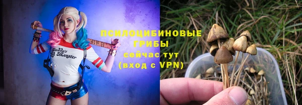 стаф Горняк