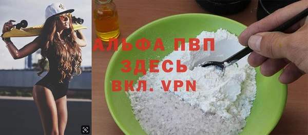 стаф Горняк