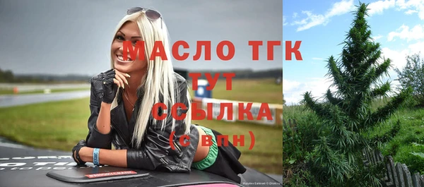стаф Горняк