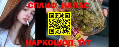 дживик Берёзовский