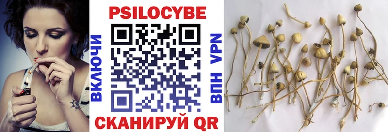 это телеграм  купить  цена  Бугуруслан  Псилоцибиновые грибы Cubensis  kraken ссылки 