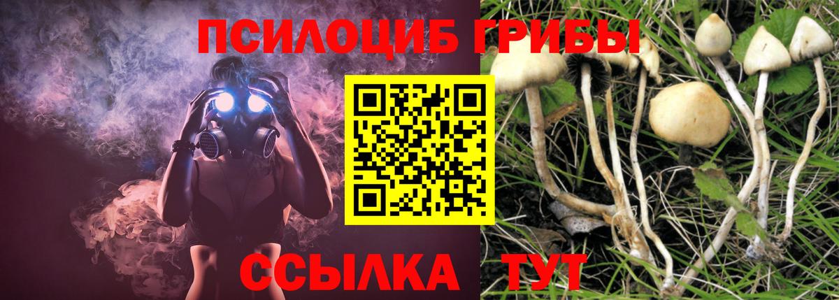 Псилоцибиновые грибы Magic Shrooms Бугуруслан