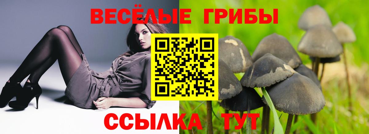 Галлюциногенные грибы мухоморы  Вход с VPN  Галлюциногенные грибы мухоморы  Бугуруслан 